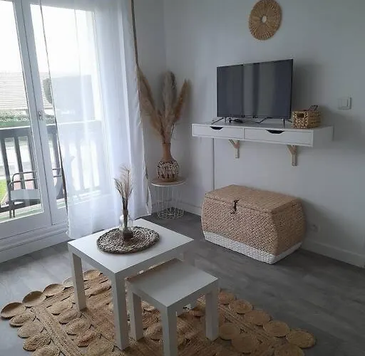 Appartement T2 Avec Balcon Refait A Neuf